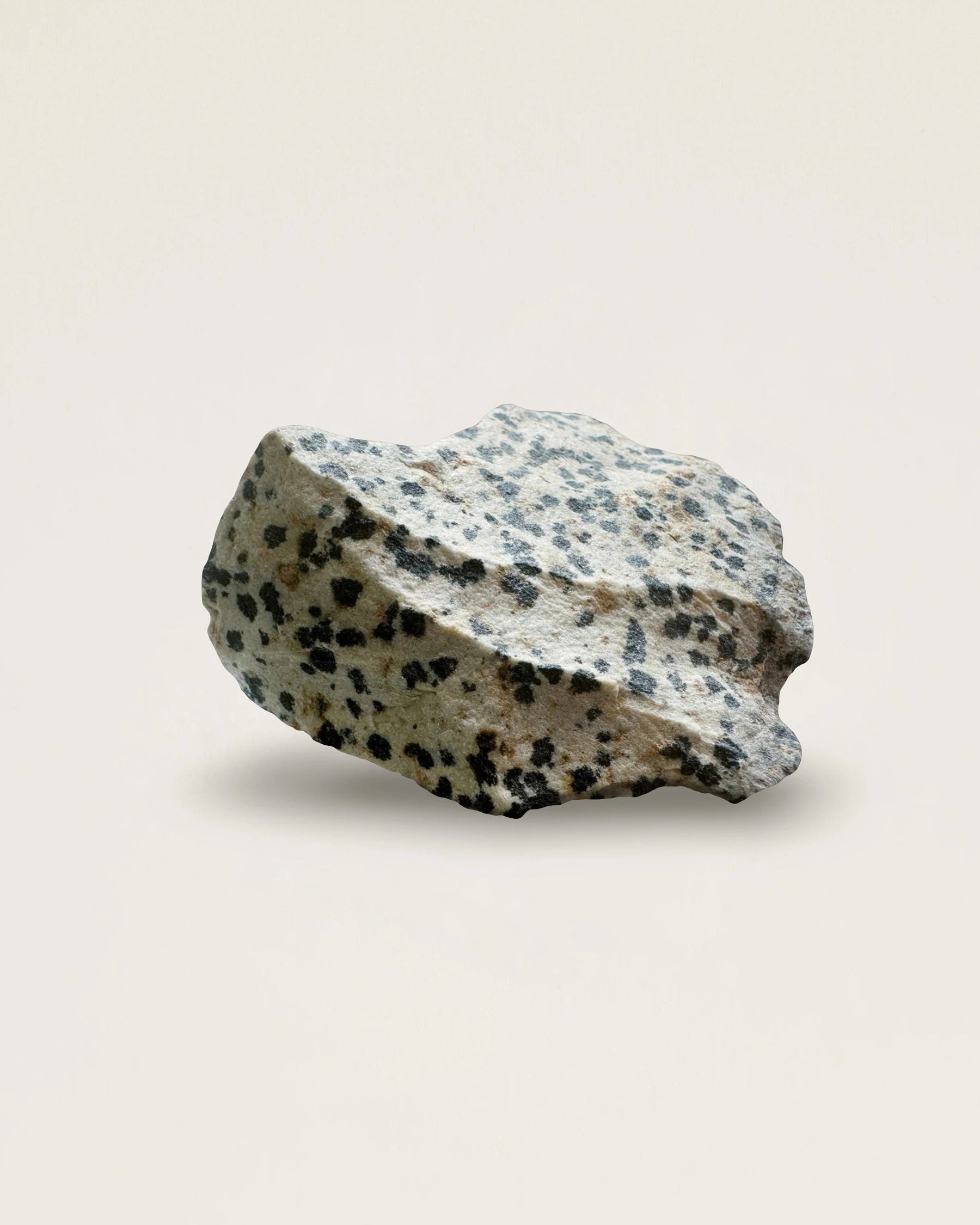 Dalmatian Jasper