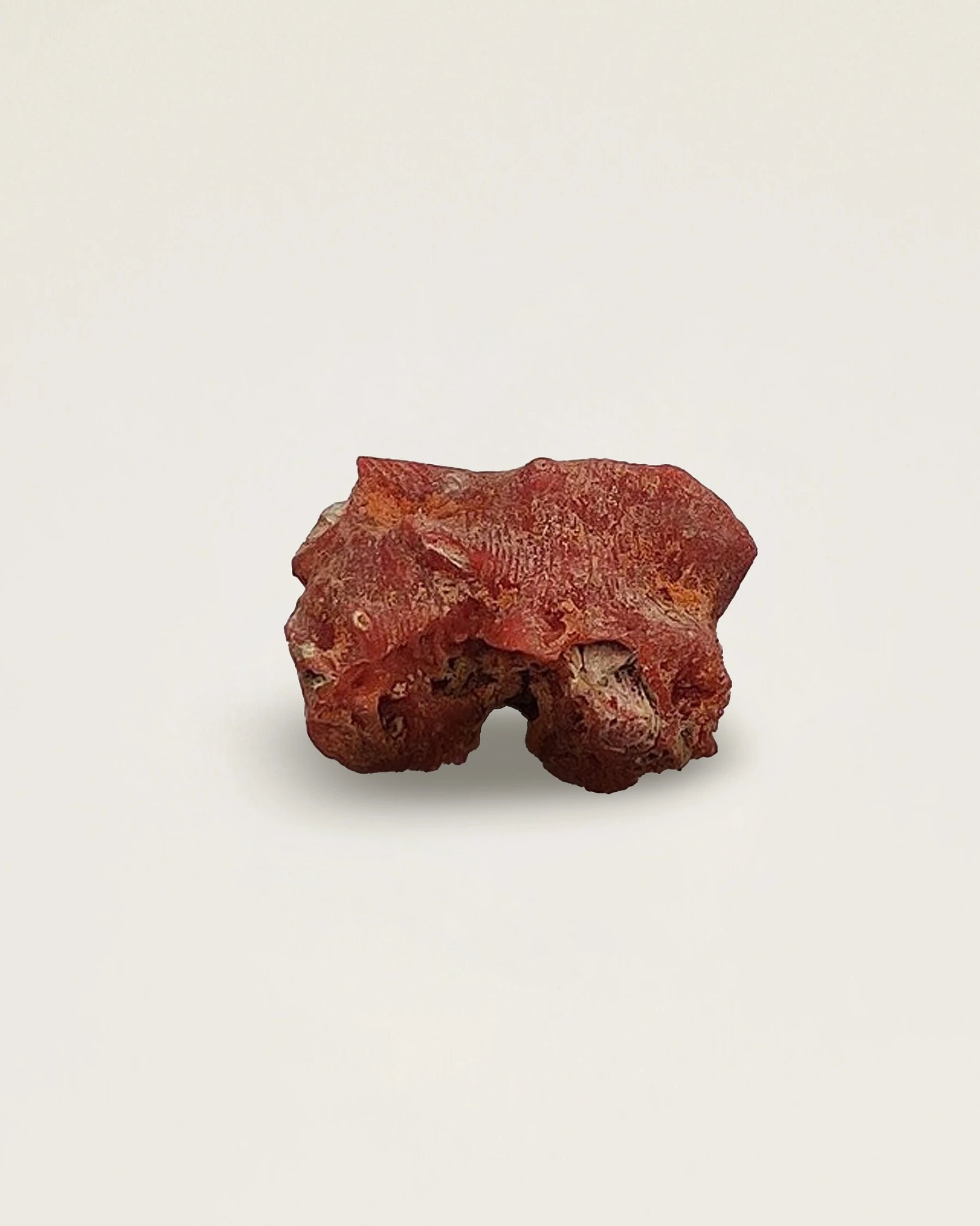 Red Coral