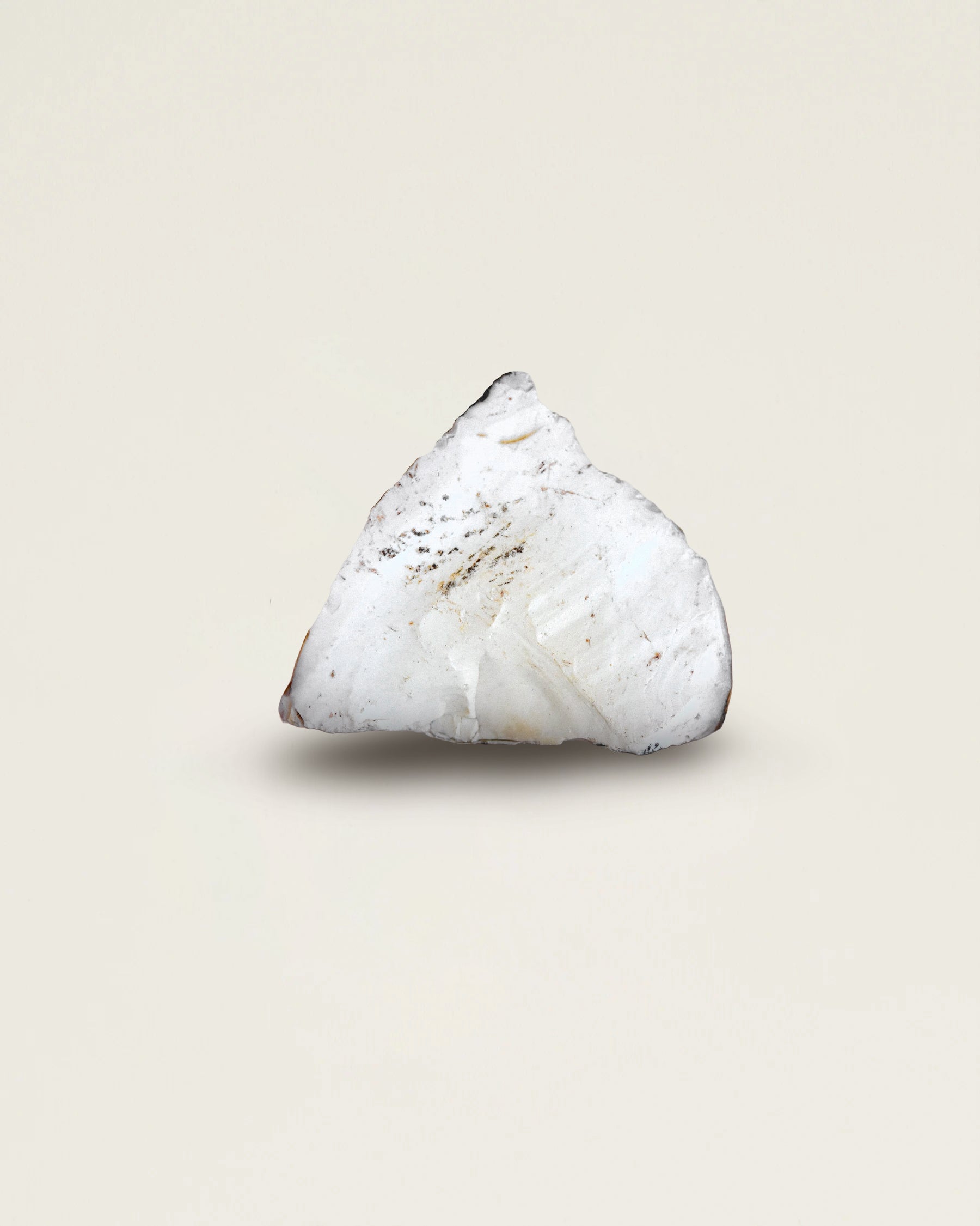 White Fossil Jasper