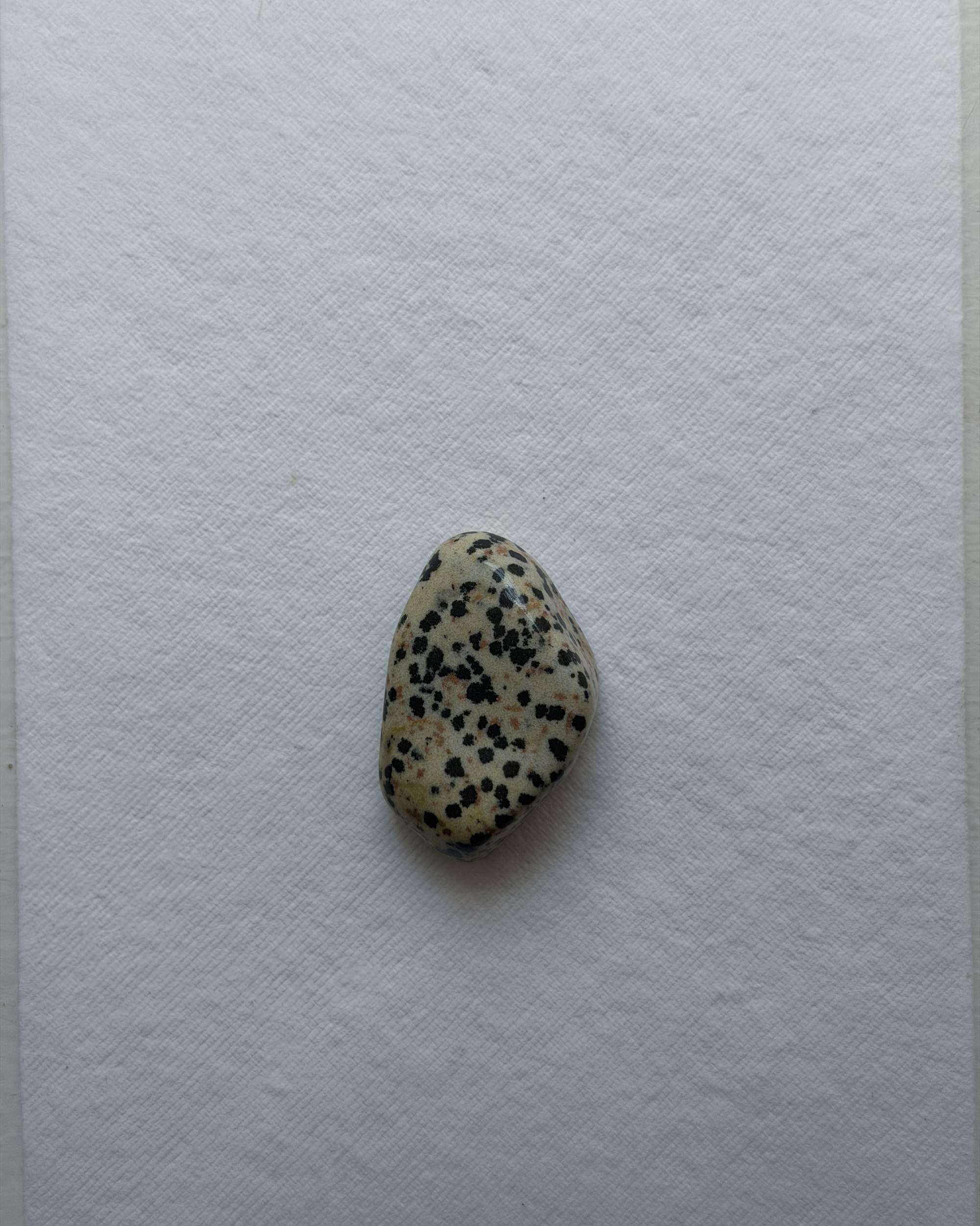 Dalmatian Jasper
