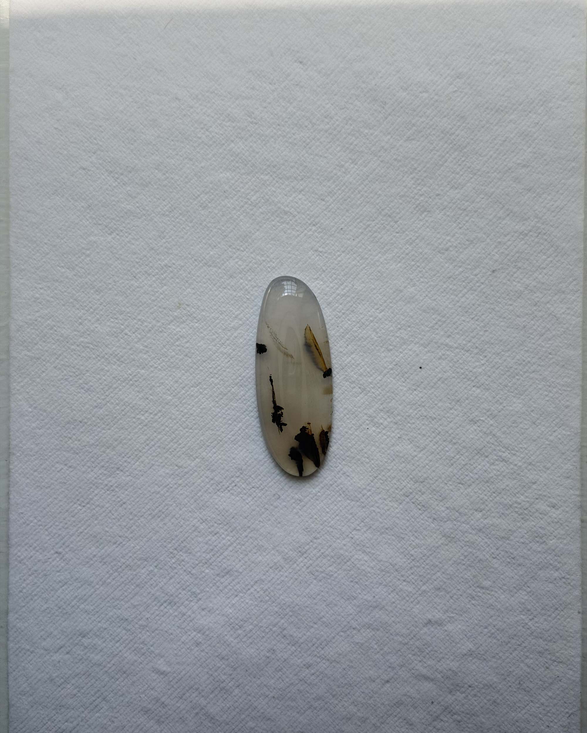 Montana Agate